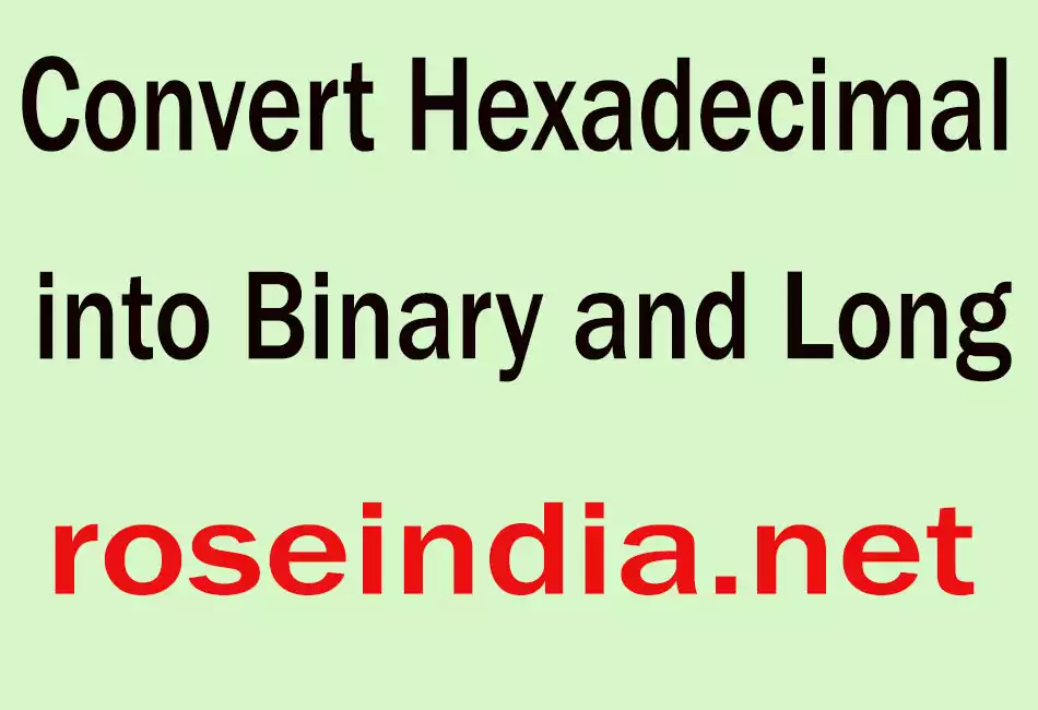 Convert Hexadecimal into Binary and Long