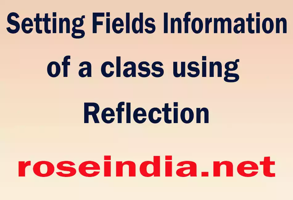 Setting Fields Information of a class using Reflection
