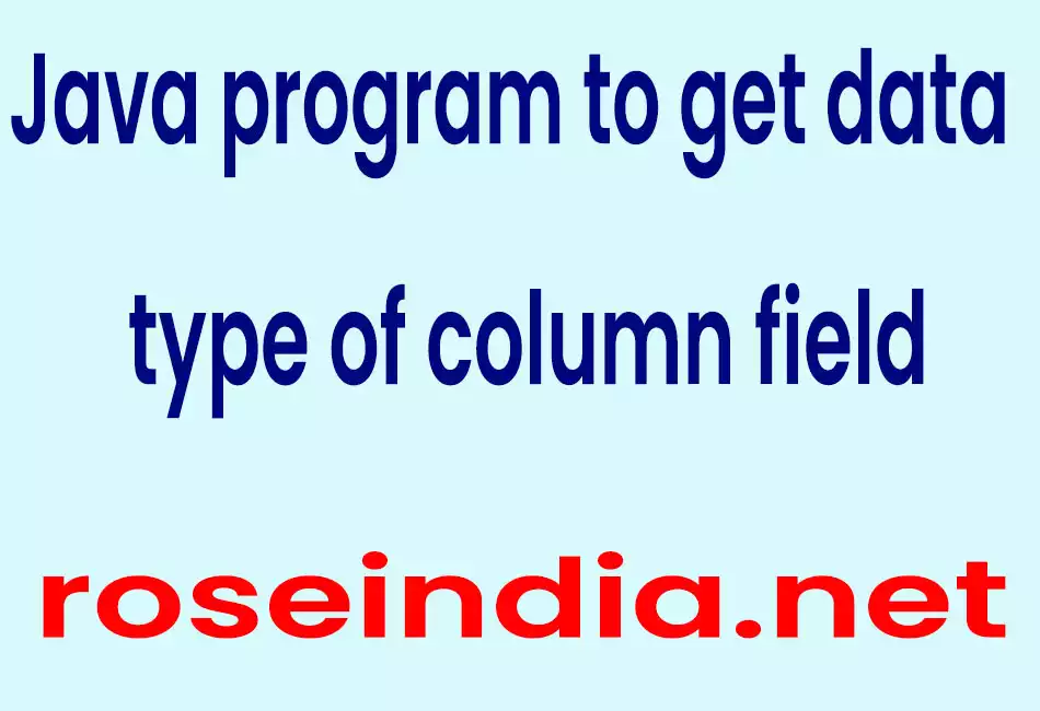 Java program to get data type of column field