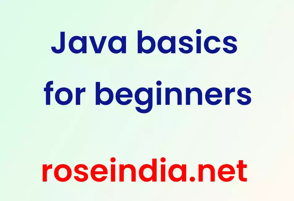 Java basics for beginners
