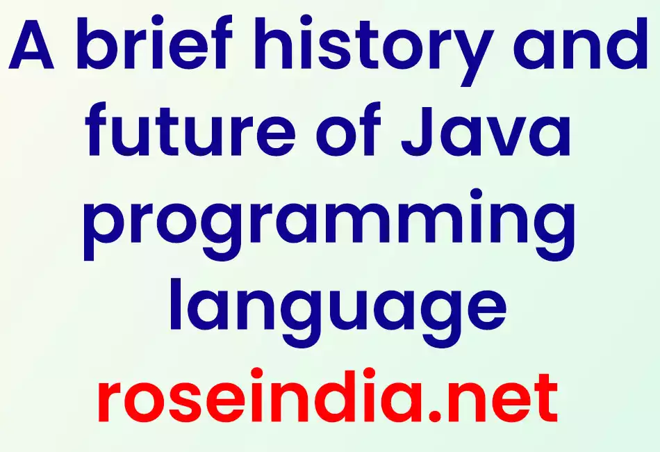 A brief history and future of Java programming language