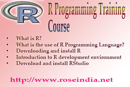 R Programming Training Course