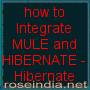 Tutorial
