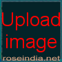 Tutorial