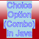 Choice Option (Combo) In Java