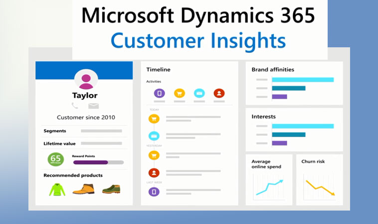 Dynamics 365 Customer Insights