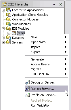 EJB module