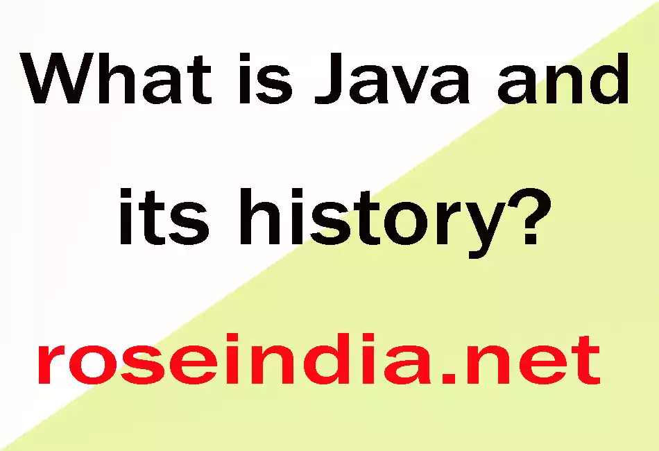 What is Java and its history?