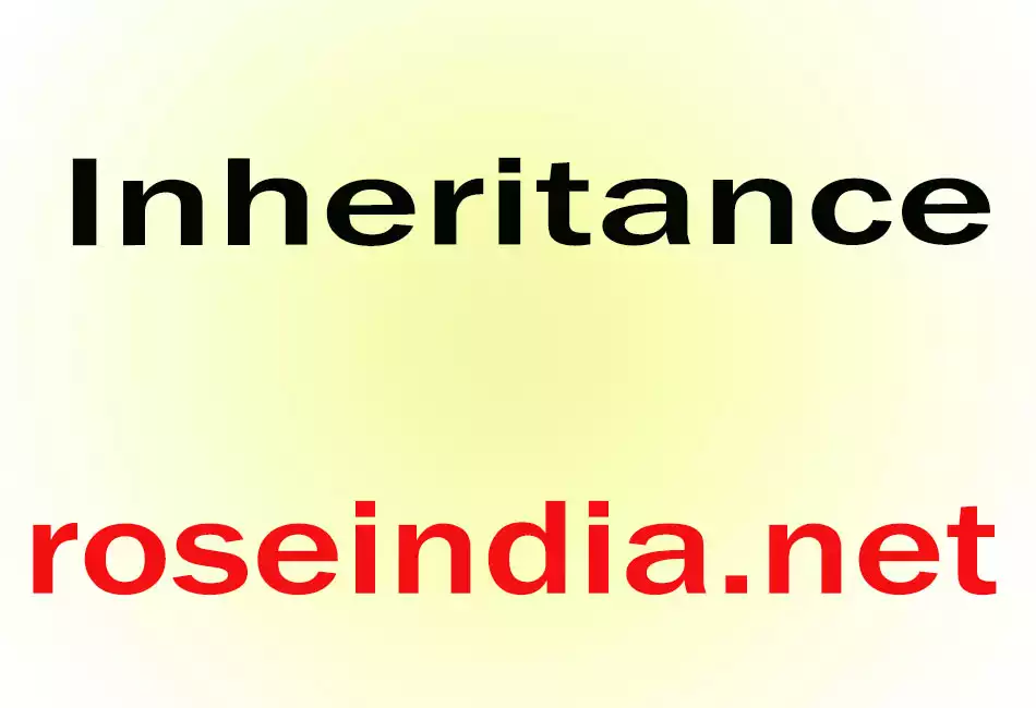 Inheritance