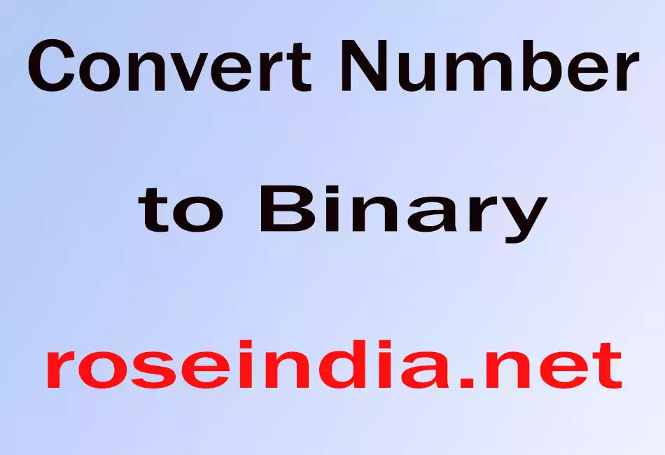  Convert Number to Binary