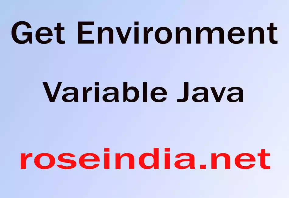 Get Environment Variable Java