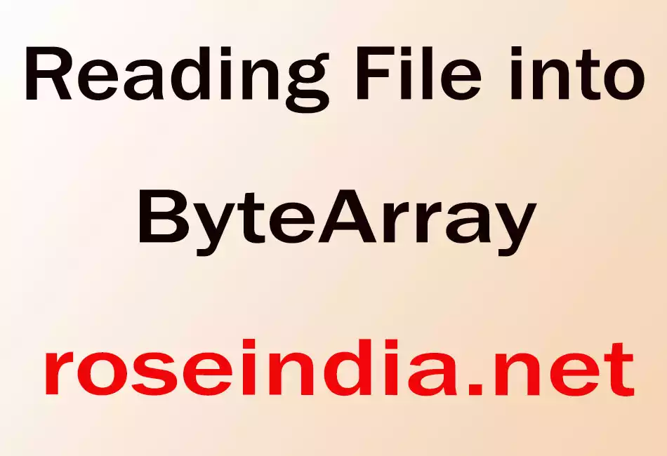 Reading File into ByteArray