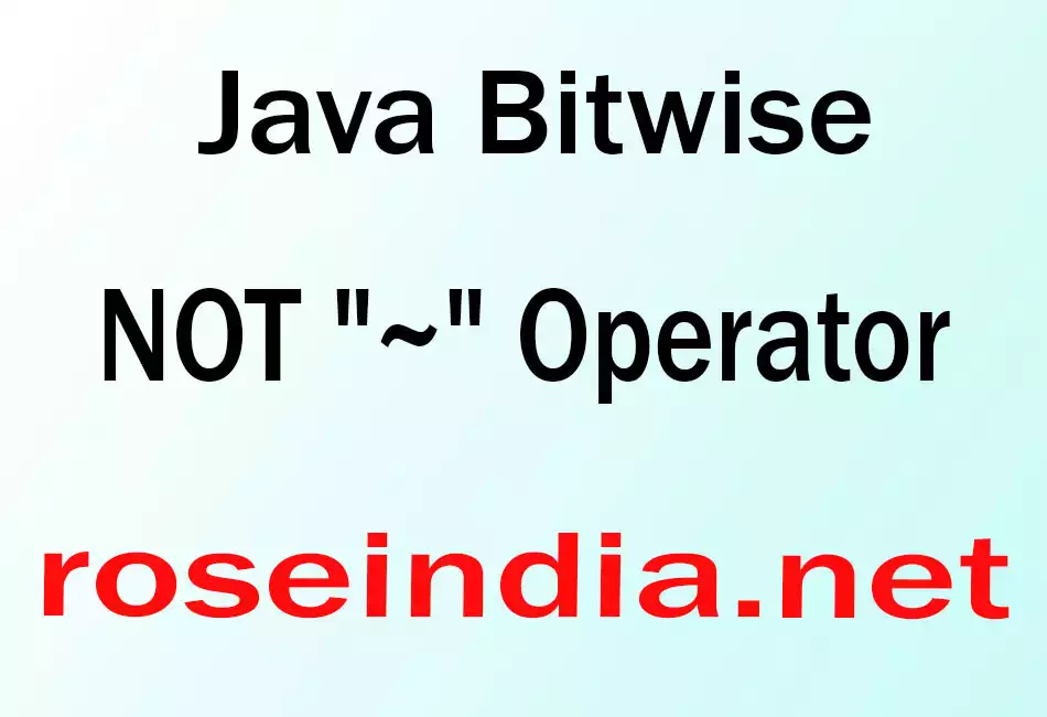Java Bitwise NOT 