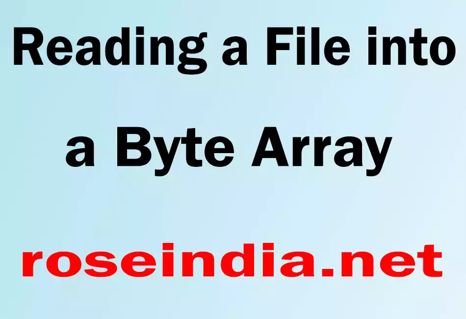 Reading a File into a Byte Array