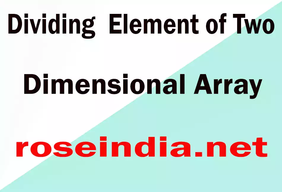 Dividing  Element of Two Dimensional Array