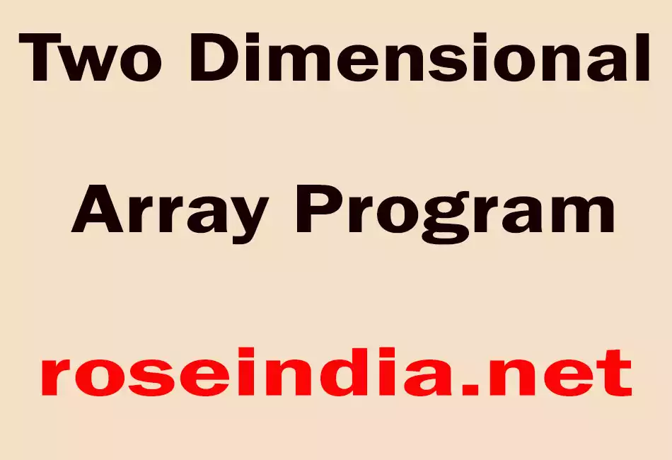 Two Dimensional Array Program
