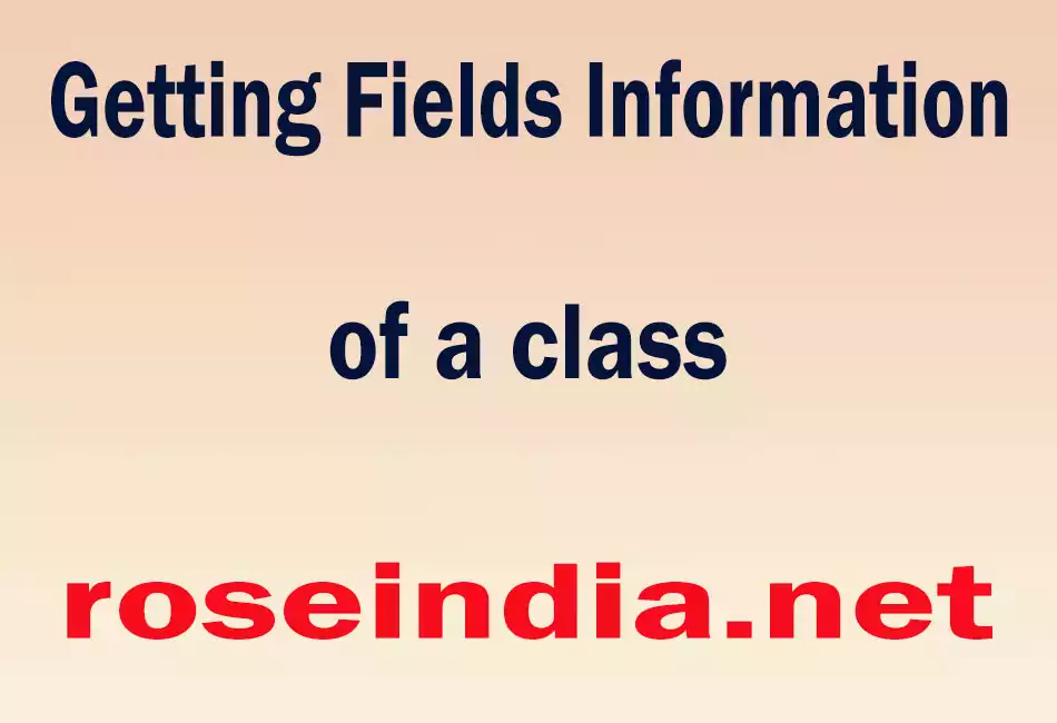 Getting Fields Information of a class