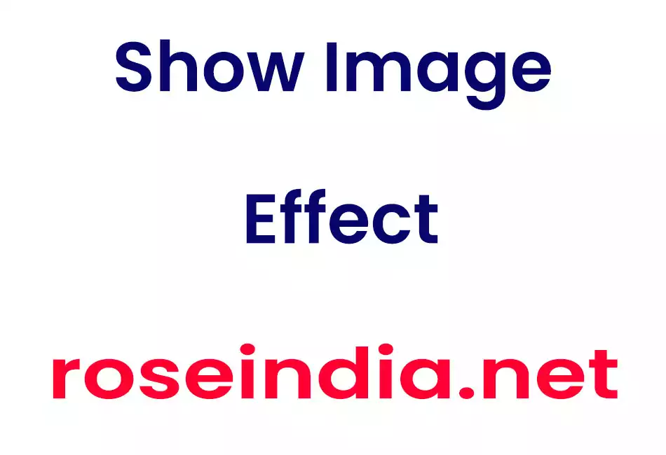 Show Image Effect