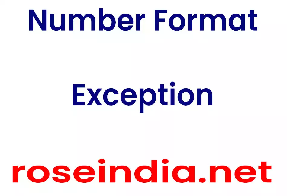 Number Format Exception