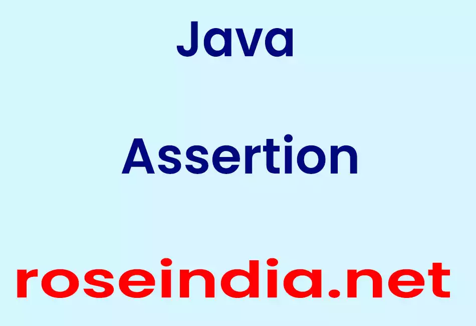 Java Assertion