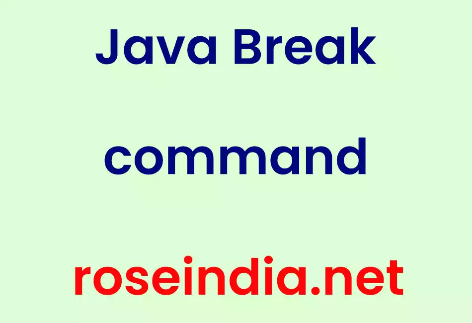 Java Break command