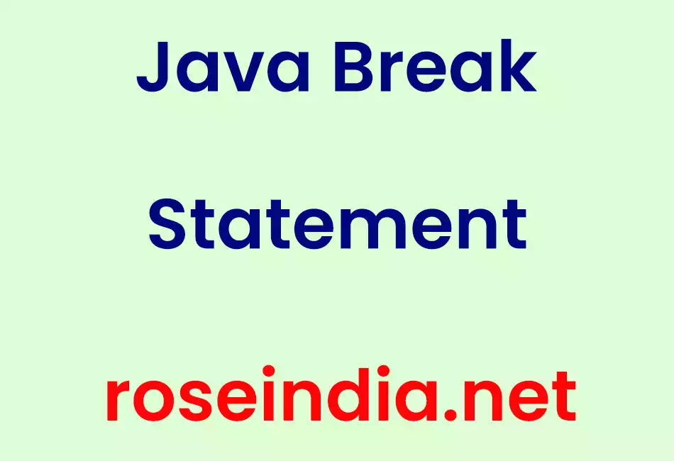 Java Break Statement