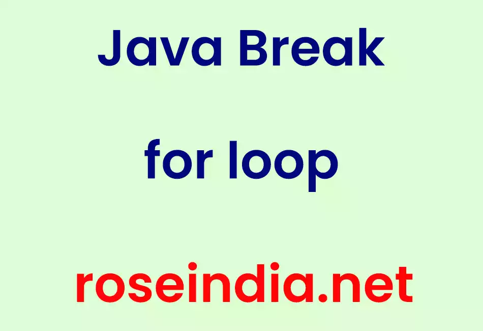 Java break for loop