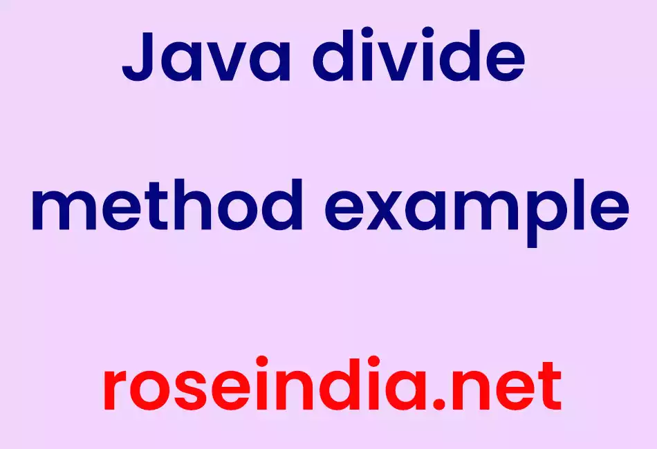 Java divide method example