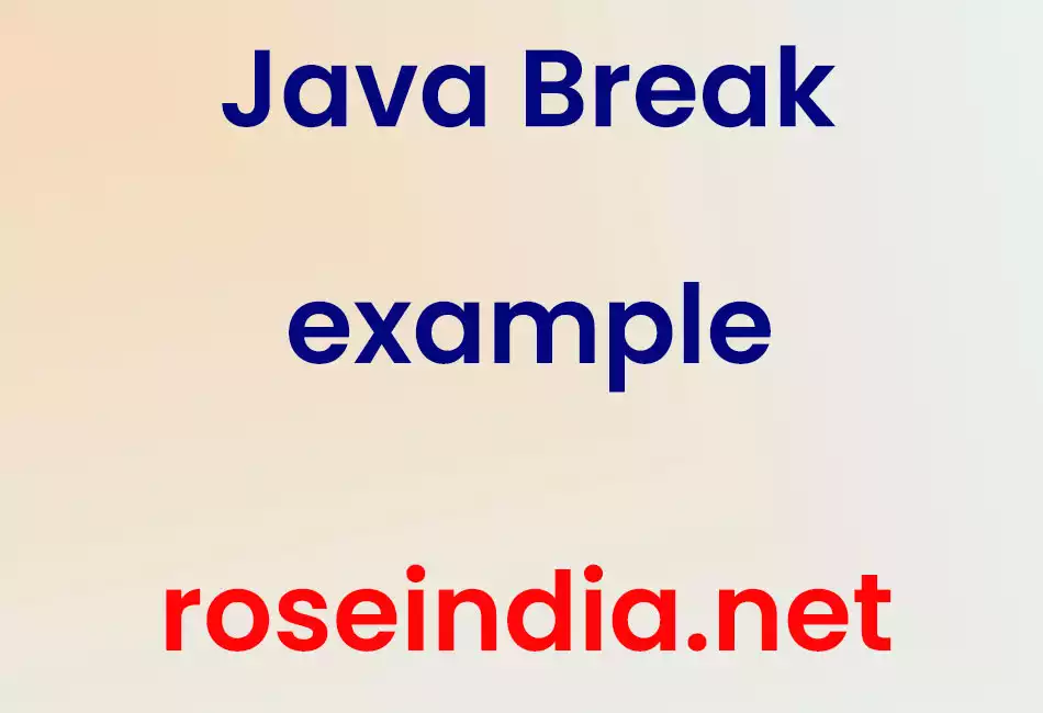 Java Break example