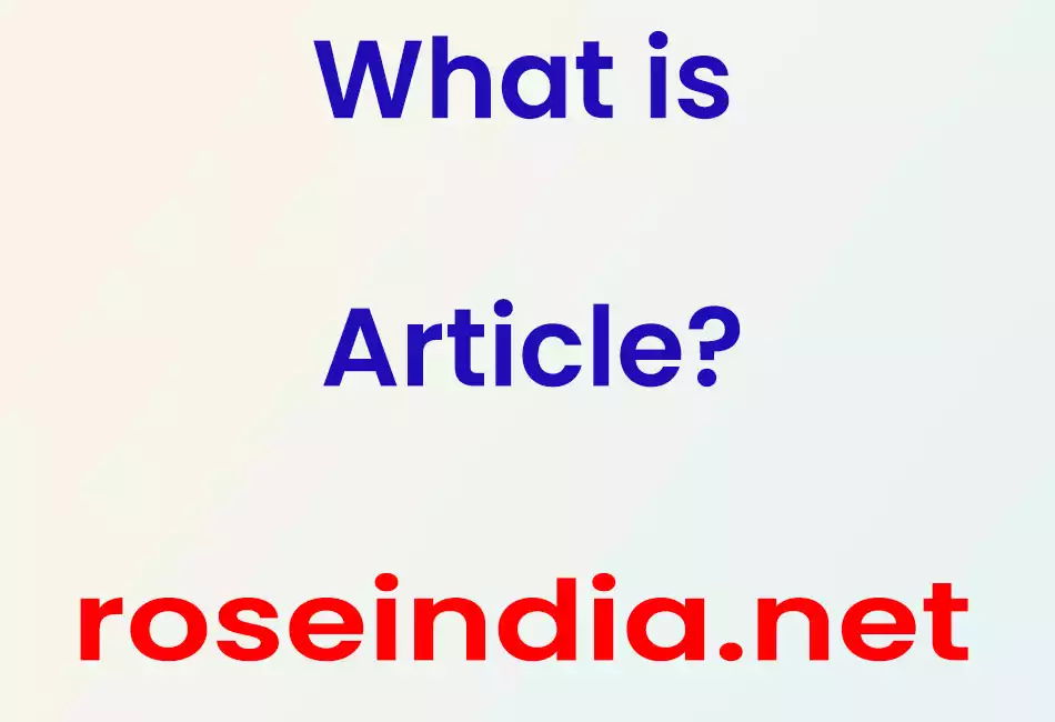What is Article?