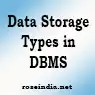 Data Storage Types in DBMS