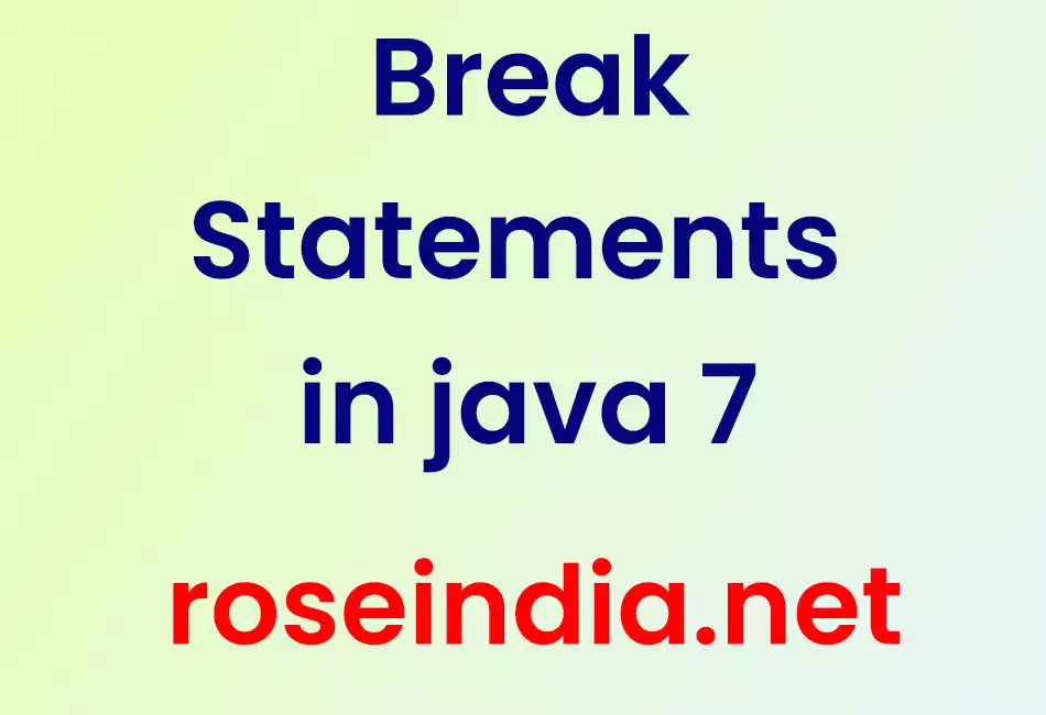 Break Statement in java 7