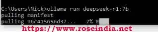 Ollama Run deepseek-r1