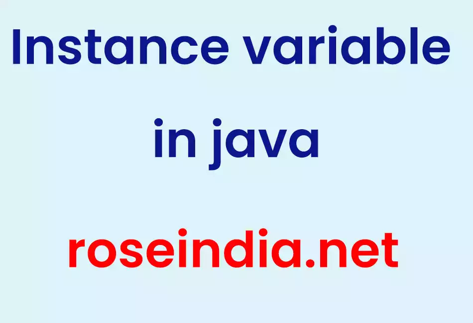 Instance variable in java