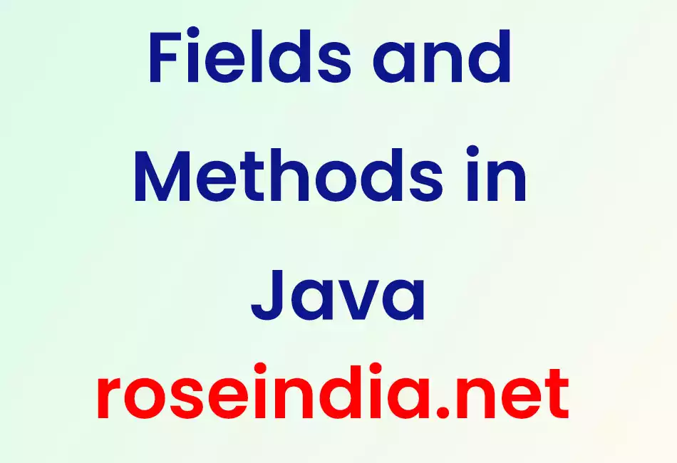 Fields and Methods in Java