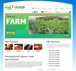 Custom Website Design and Development services