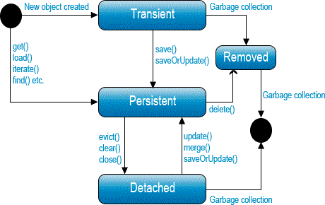 LifeCycle Entity