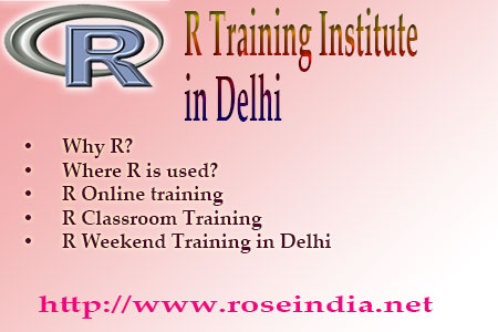 R Training Institute in Delhi